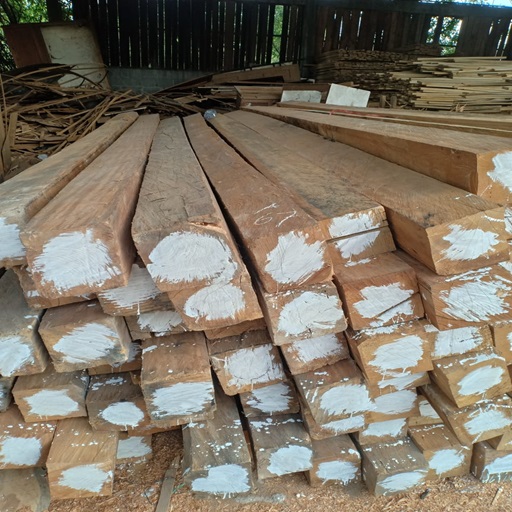 kayu-ulin-asli-kalimantan